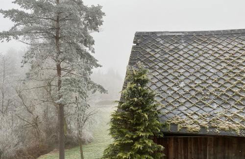 Ferien-und Monteurwohnung 'Friedersdorfer Mühle' - Foto 36