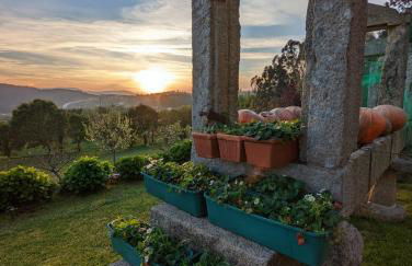 Casa da Mata - Foto 43