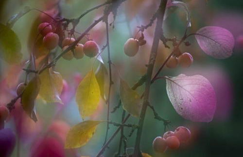 Apartment mit romantischem Garten an der Märchenstraße! - Foto 17