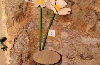 Piedra y Luz - Foto 15