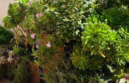 Figueres Center - Foto 33