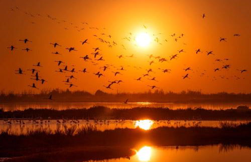 Jesolo Pines Beach House - Host Solution - Foto 61