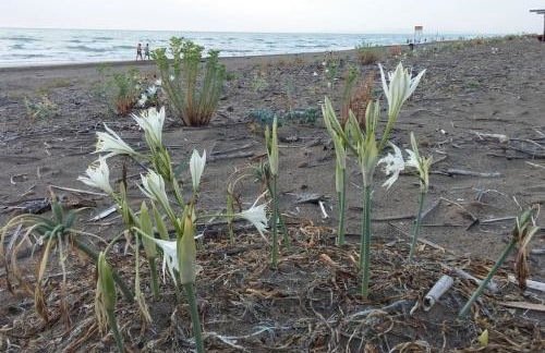 Podere Casa La Gualda - Foto 33