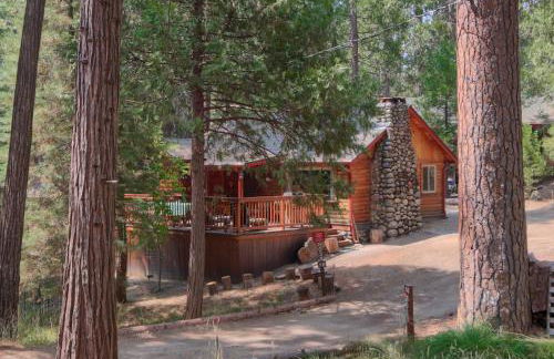 16 Chipmunks Holiday - Foto 23