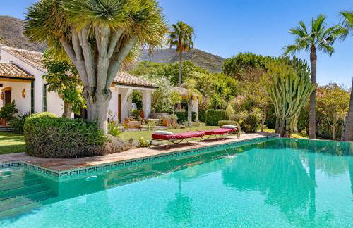 Finca Lechuza - Photo 10