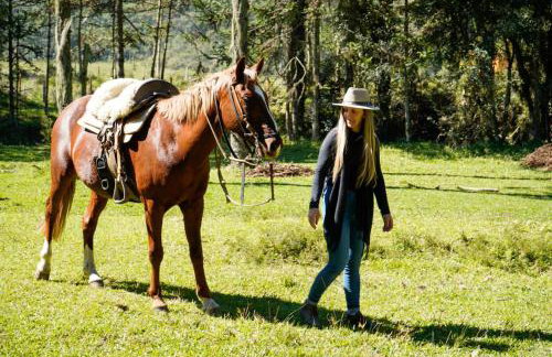Quinta dos Ventos Chalé - Foto 2