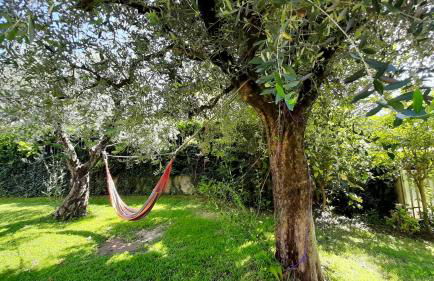 Le Palme Sona - Foto 12