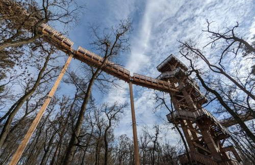 Apartment In Bad Camberg with parking - Photo 35