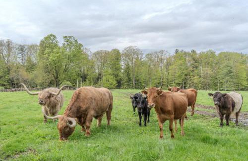 A - Farmhouse Apartment on Miles Smith Farm - Foto 3