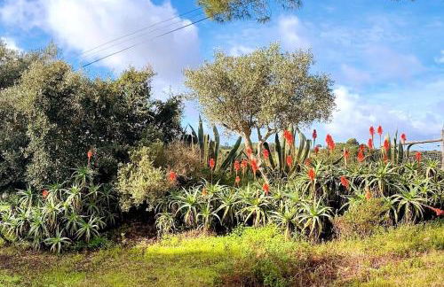 Quinta Vale da Paz - Foto 37