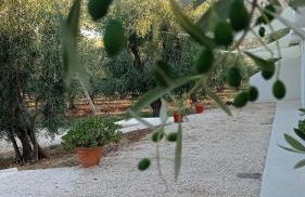 Dimora Basso - Foto 13