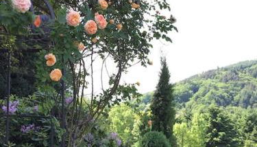 Top ausgestattete Wohnung in Traumlage mit grandioser Aussicht - Foto 5