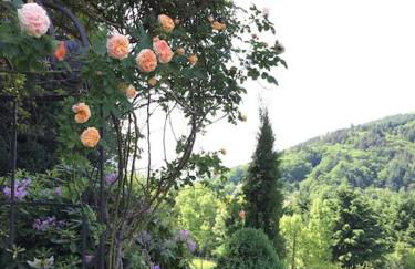 Top ausgestattete Wohnung in Traumlage mit grandioser Aussicht - Foto 5