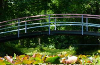 Romantik Unterkünfte Gut Rechetsberg - Foto 21