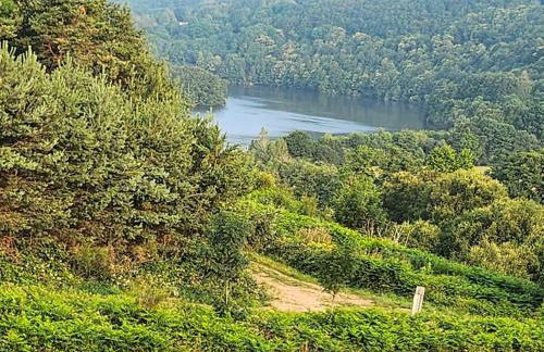 Chalet au lac de la raviège - Foto 3