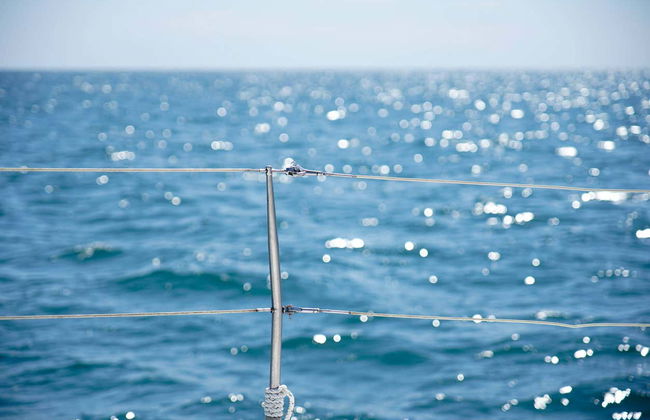 Catamaran Cruise with Barbeque - Foto 3