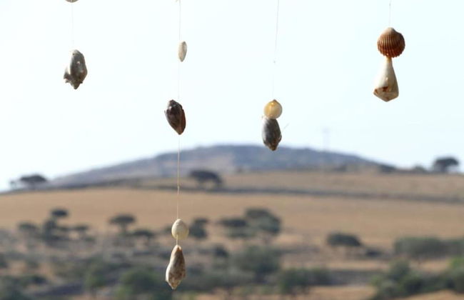 Harama Hotel Schinousa - Foto 18