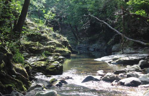 Les Hauts de Saint Privat - Foto 62