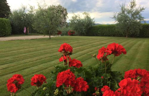 La casina del Poggio - Photo 9