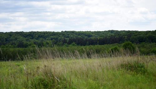 Agroturystyka w Dolinie Raty - Foto 3