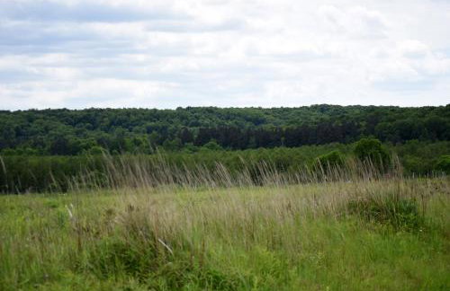 Agroturystyka w Dolinie Raty - Foto 3