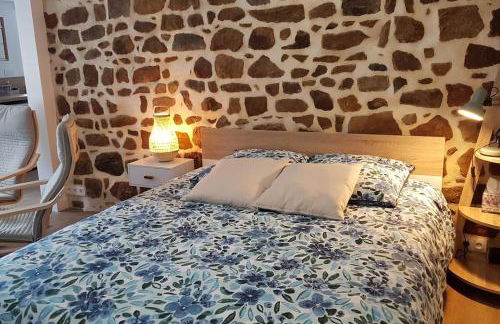 Studio chaleureux 5 mns chaine des Puys - Foto 5