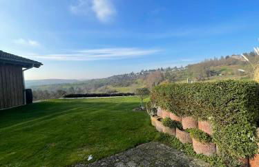 Rheintal-Wald-und Weitsicht - Foto 11