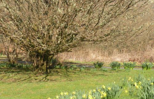 McHugh and Loudon Cottages - Foto 34