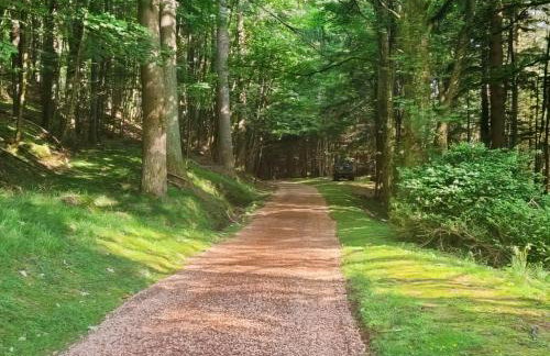 Glen Doll Lodge - Uk51268 - Foto 41