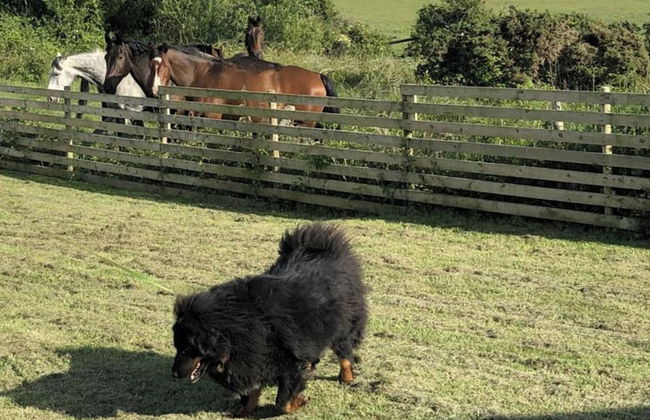 Country Retreat Sleeps 2 Near Cymyran Beach - Foto 15