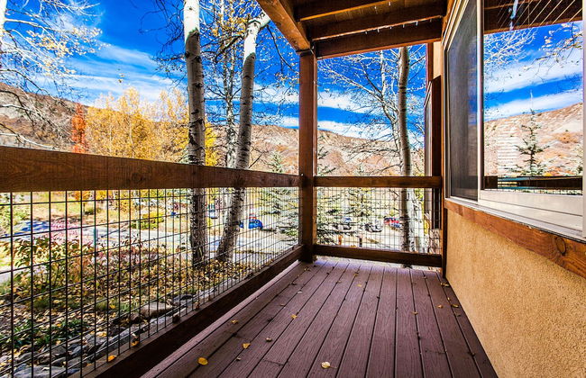 Willows Condos by Snowmass Vacations - Foto 62