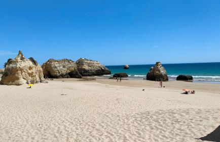 EstrelasDourada ALVOR Limoeiro - Foto 31