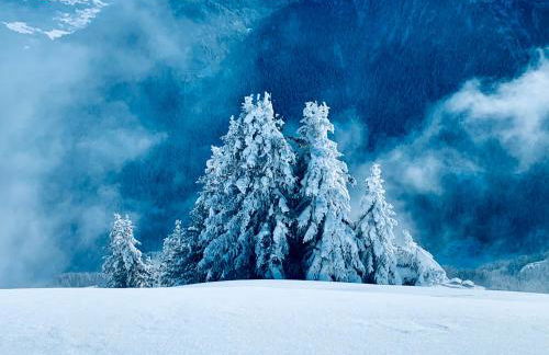 APPARTEMENT COSY AUX SAISIES n1 - Foto 34