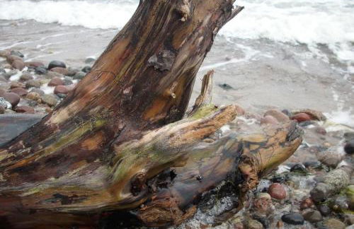 Ferienwohnung Sonne - Photo 12