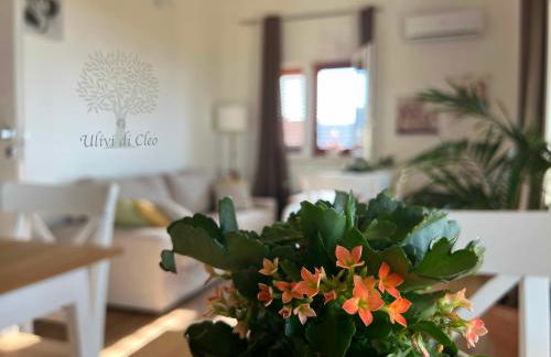 Ulivi di Cleo - Foto 37