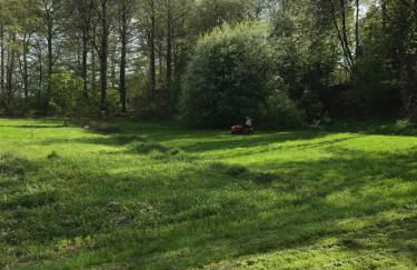 Borstel - Alte Schmiede - Foto 22