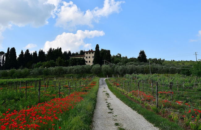 Rustic Elegance Near Florence - Foto 35
