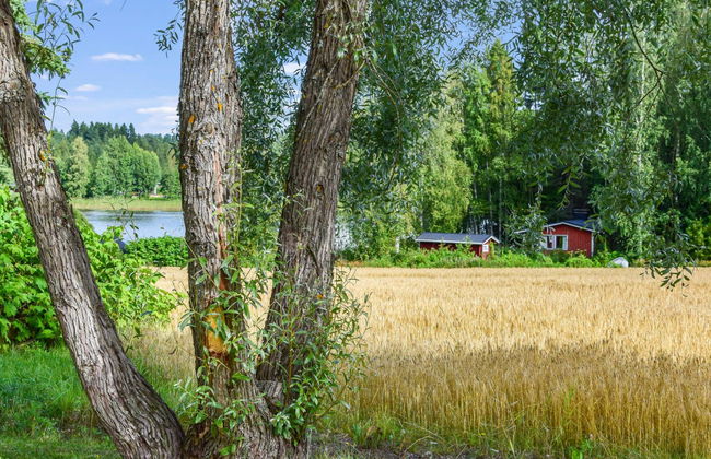 Petäjäniemi - Foto 20