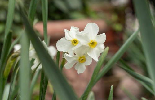Agriturismo Pozzo Fiorito - Foto 53