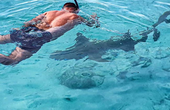 Snorkel en Dhiffushi - Foto 1