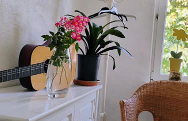 Gîte Le Marronnier, parking et terrasse au calme, entre Colmar-Riquewihr et Obernai, vue sur espaces verts et coteaux d Alsace, route du vin-châteaux - Foto 31