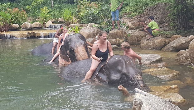 Half Day Elephant Bathing welfare center from Phuket - Foto 4