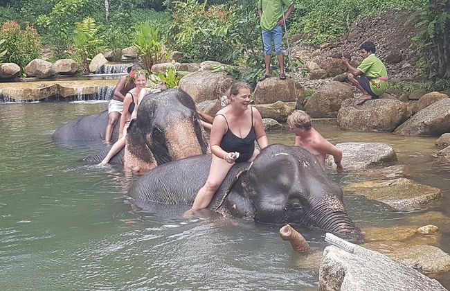 Half Day Elephant Bathing welfare center from Phuket - Foto 4