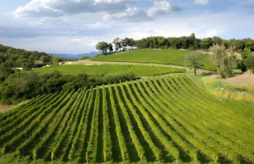 La Casa di Leo - Foto 23