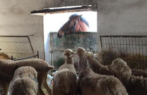 Casa Rural Descanso del Quijote - Foto 24