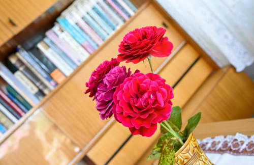 Apartment Mia - Foto 12