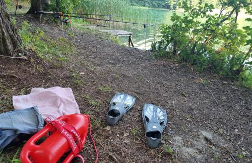 Vigor Horses - Foto 69