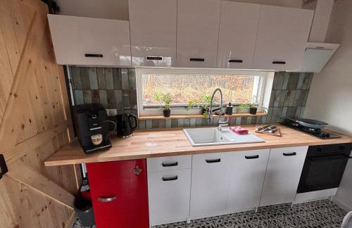 Idylla nad stawem- domek na Kaszubach - Photo 15