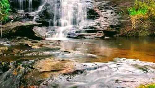 Sítio Recanto do Araçá - Foto 2