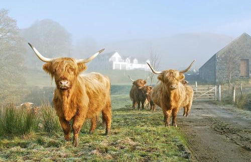 Ballimore Farm Estate - House with heated pool - Foto 35